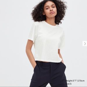 Crew neck cropped tee